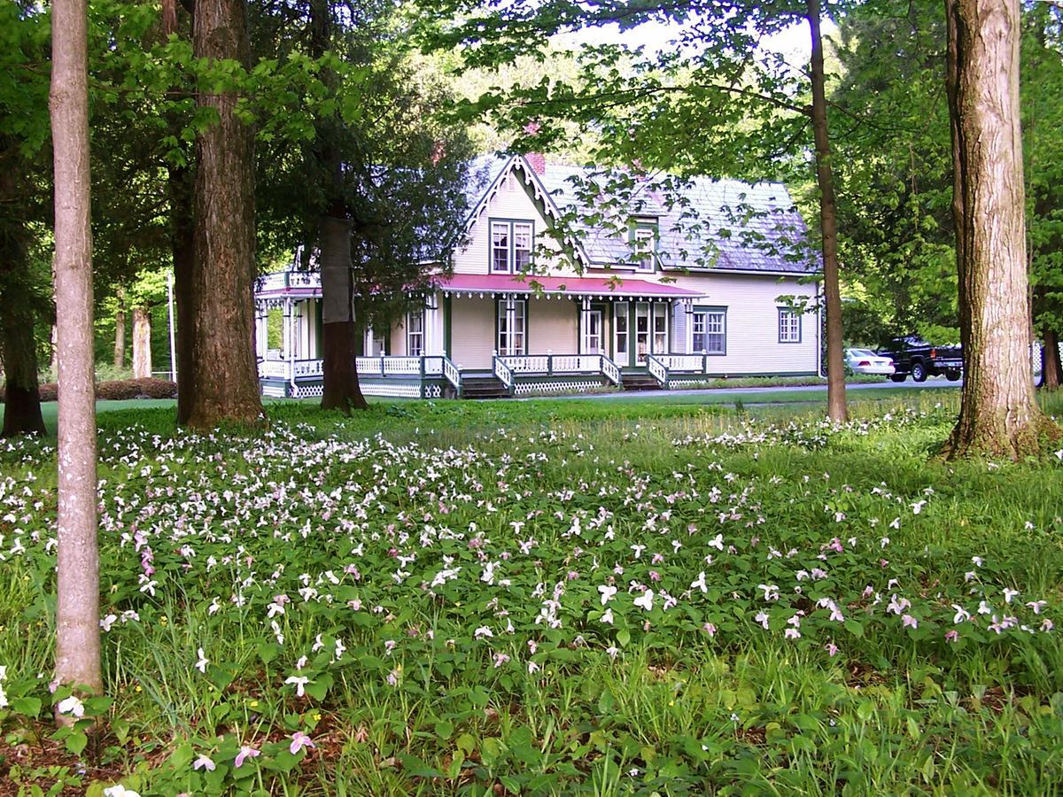 Dreamhouse Country Inn Bristol Bagian luar foto